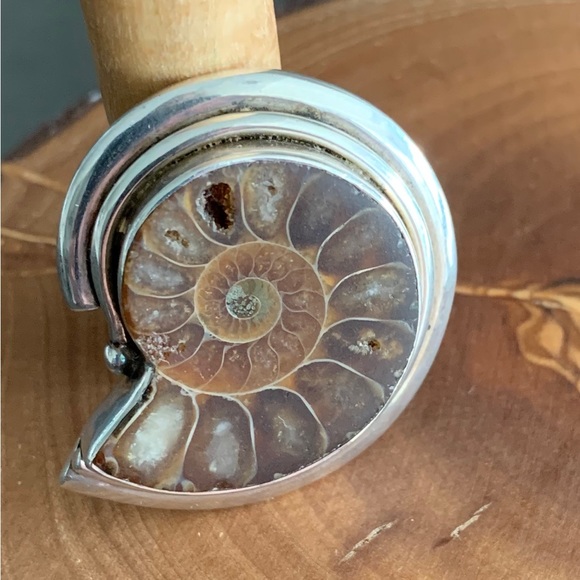 Ammonite and Sterling Silver Ring - Picture 3 of 9